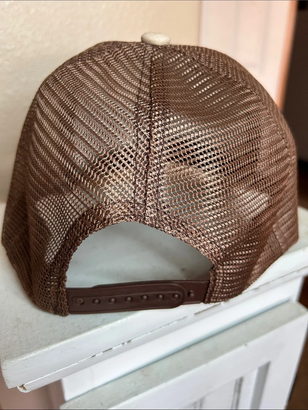 SALTY Logo Trucker Cap in Taupe and Brown